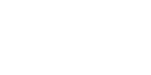 brand-wordpress